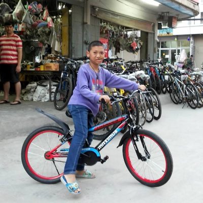 review-maximus-kidsbike-thunder